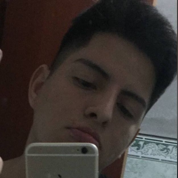 Manuelqlr
