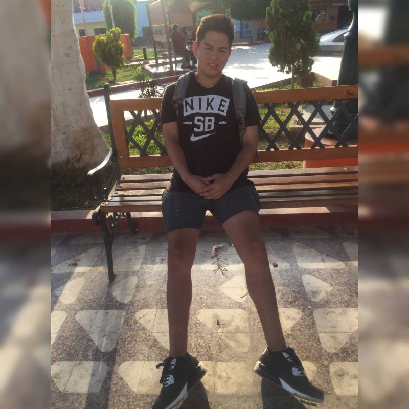 Manuelqlr